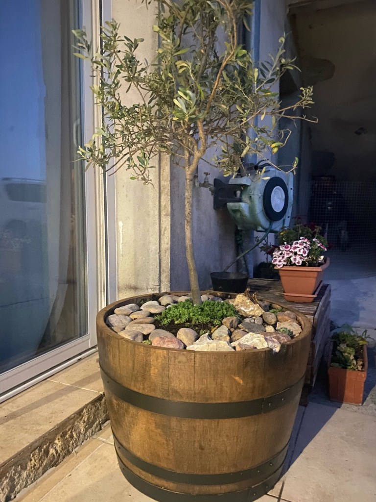 Un pot en bois à l'extérieur, contenant un petit arbre, des cailloux et des plantes vertes, avec un mur en arrière-plan et une fenêtre.